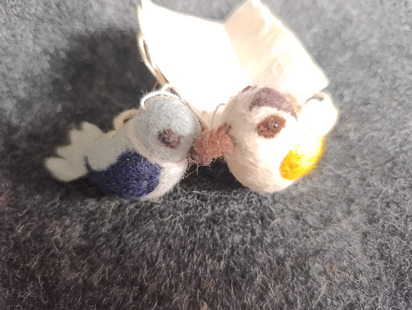 woolen sparrow