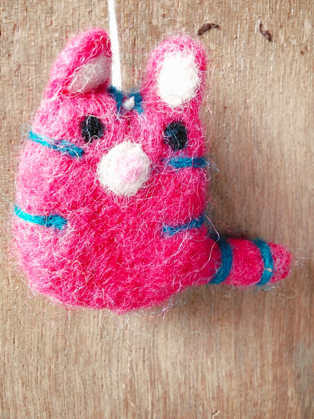🐱🔥 Red Velvet Kitten(JF-5)