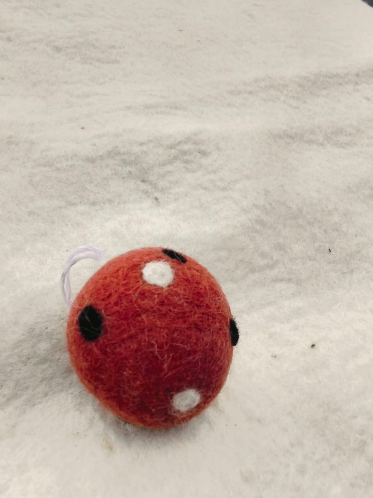 🔴 Red Eyed Wool Puff (JF-46)